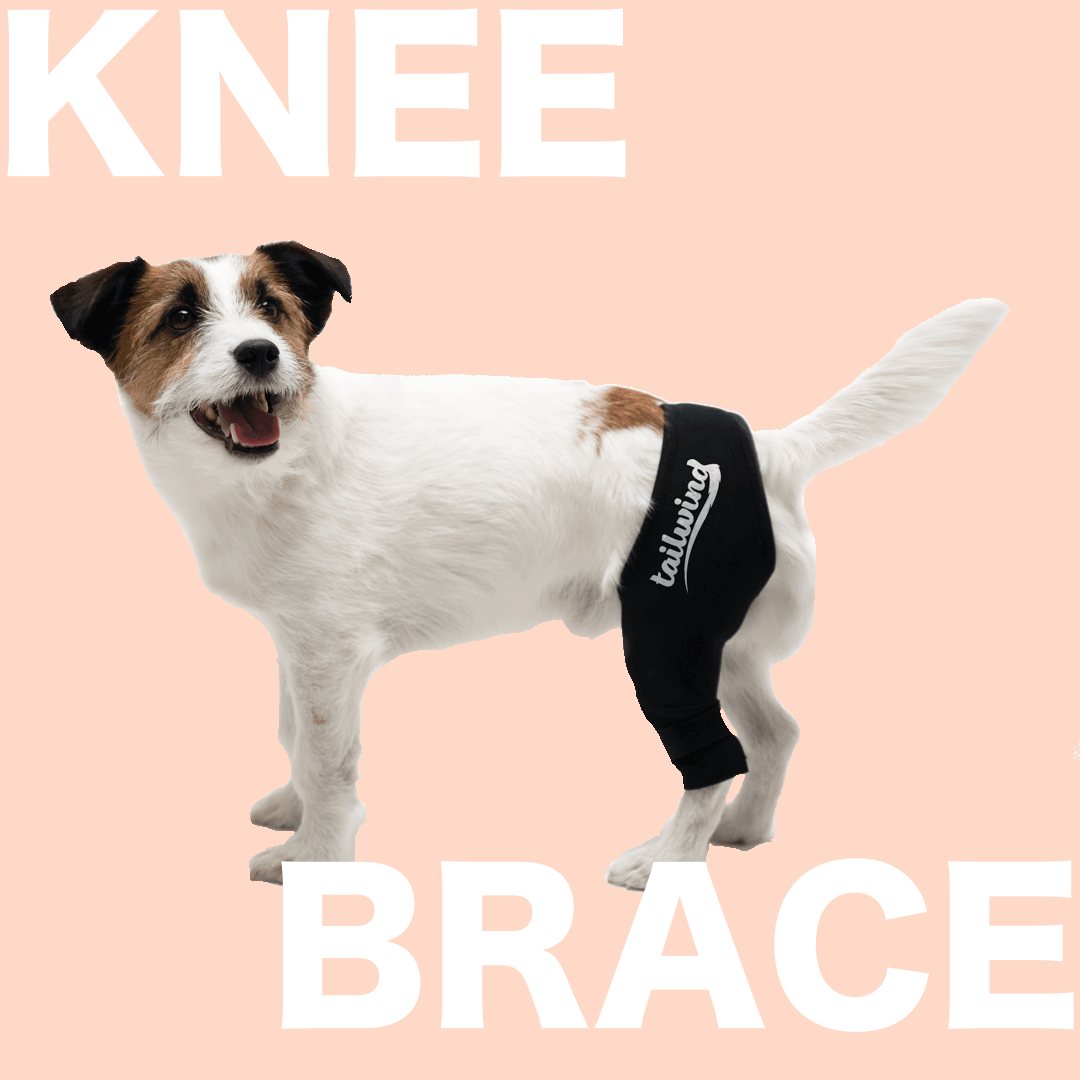 Tailwindpets Dog Knee Brace Small