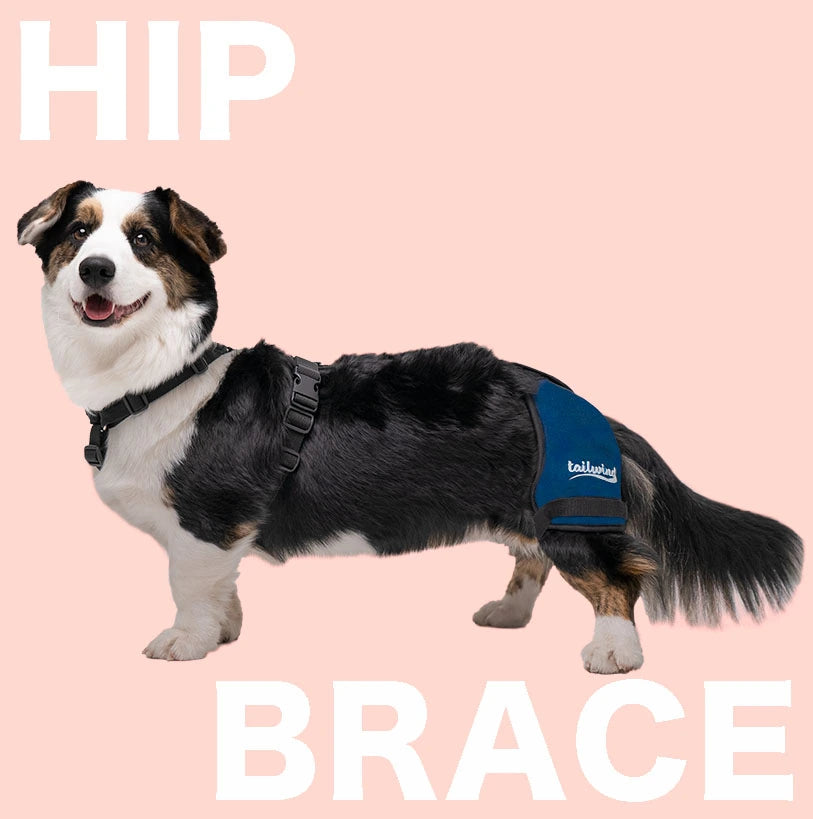 Tailwindpets Hip Brace
