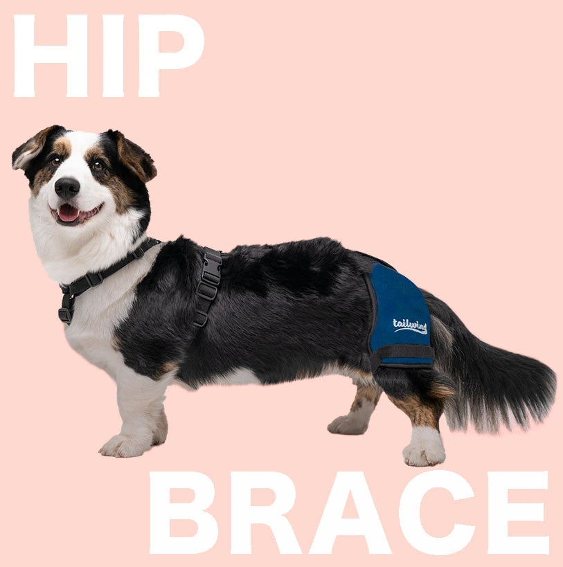 Tailwindpets Hip Brace 