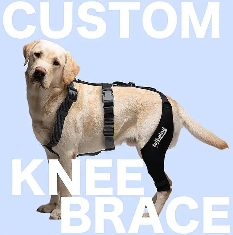 Tailwindpets Custom Knee Brace