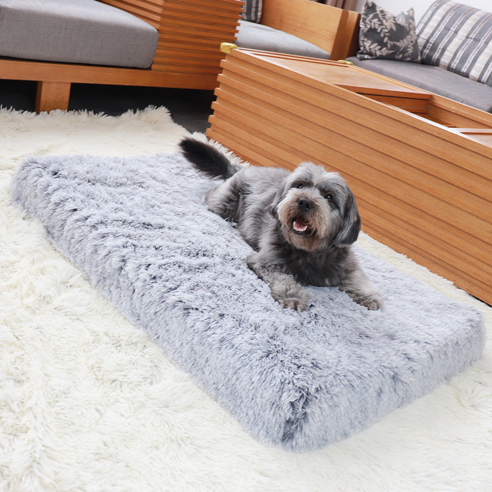 Ortho Dog Bed