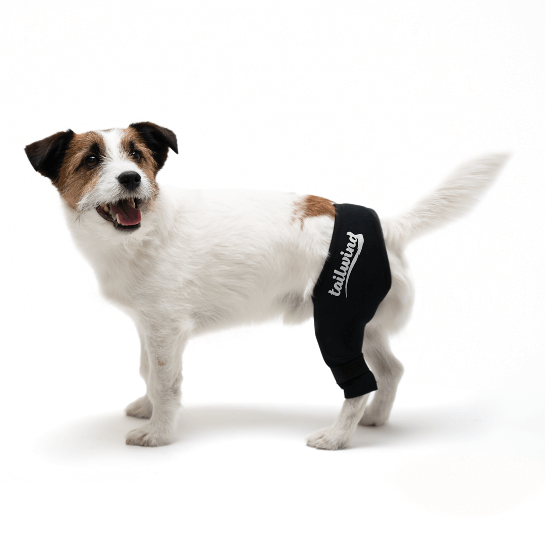 Knee Brace for Dogs - Cruciate Support