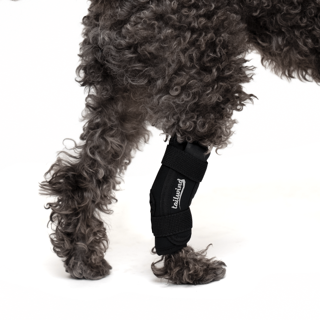 Custom Hock Wrap for Dogs - Joint Protection