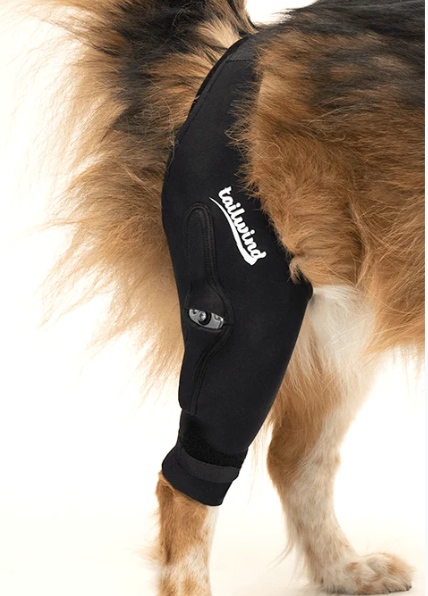 Custom Knee Brace for Dogs - Cruciate Support