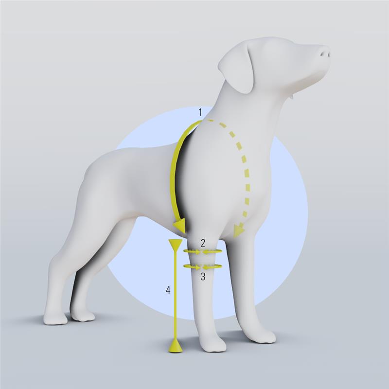 Custom Elbow Brace for Dogs - Increases Recovery (Front Leg Support)