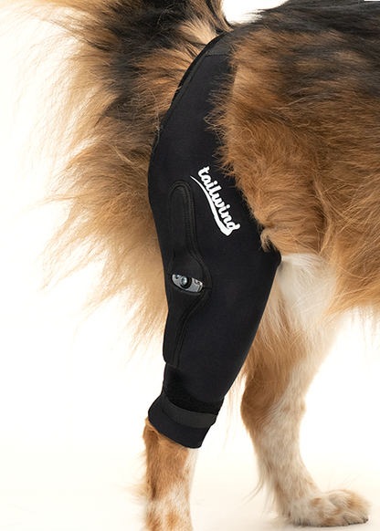 Hinged Knee Brace for Dogs - Cruciate Support and Improved immobilization