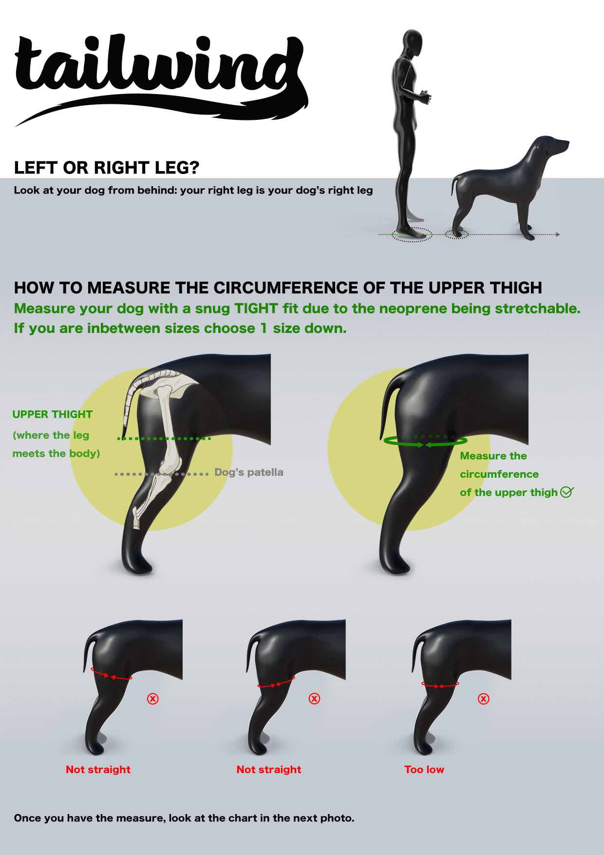 Knee Brace for Dogs - Cruciate Support