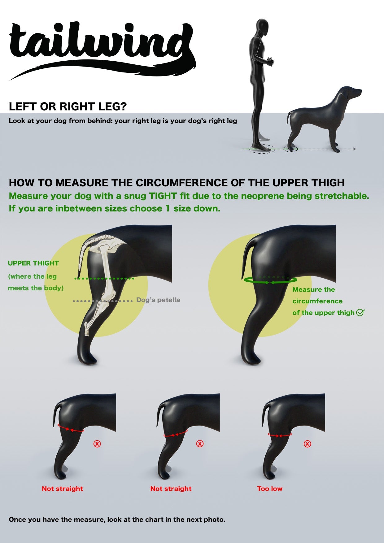 Hinged Knee Brace for Dogs - Cruciate Support and Improved immobilization