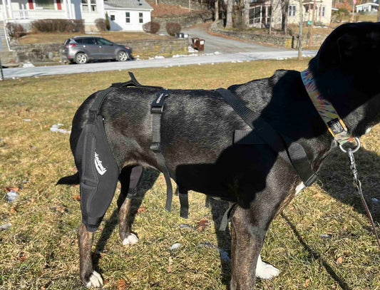 Can Braces Be Used Long-Term for Chronic Conditions?