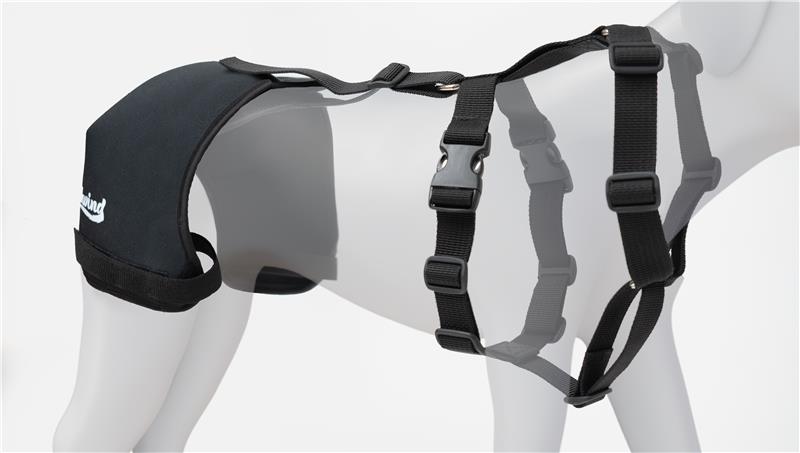 Hip Brace for Dogs