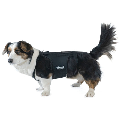 Back Brace for Dogs