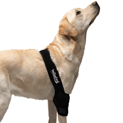 Custom Elbow Brace for Dogs - Increases Recovery (Front Leg Support)