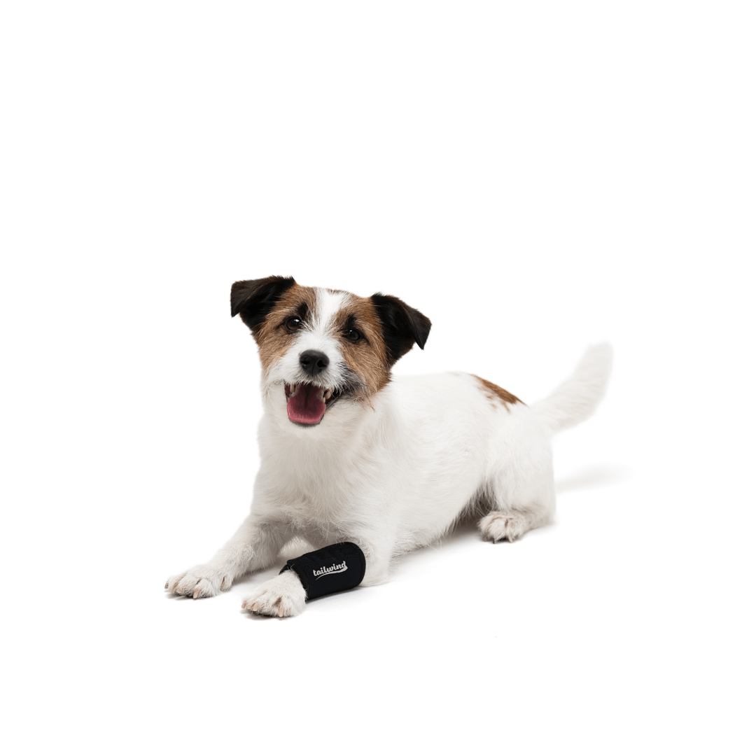 Carpal Wrap for Dogs - Prevention of Pain (Front Leg Support)