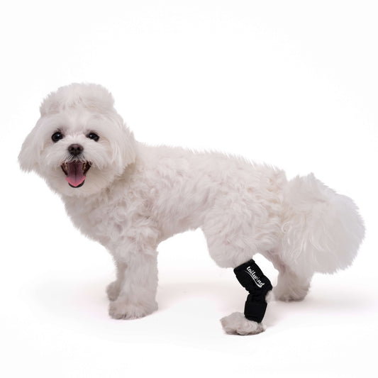 Hock Wrap for Dogs - Joint Protection