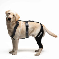 Tailwindpets Dog Knee Brace for Dogs - Cruciate Support