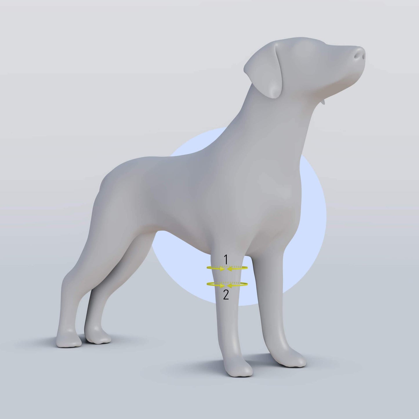 Elbow Brace for Dogs - Improves Mobility (Joint Support)