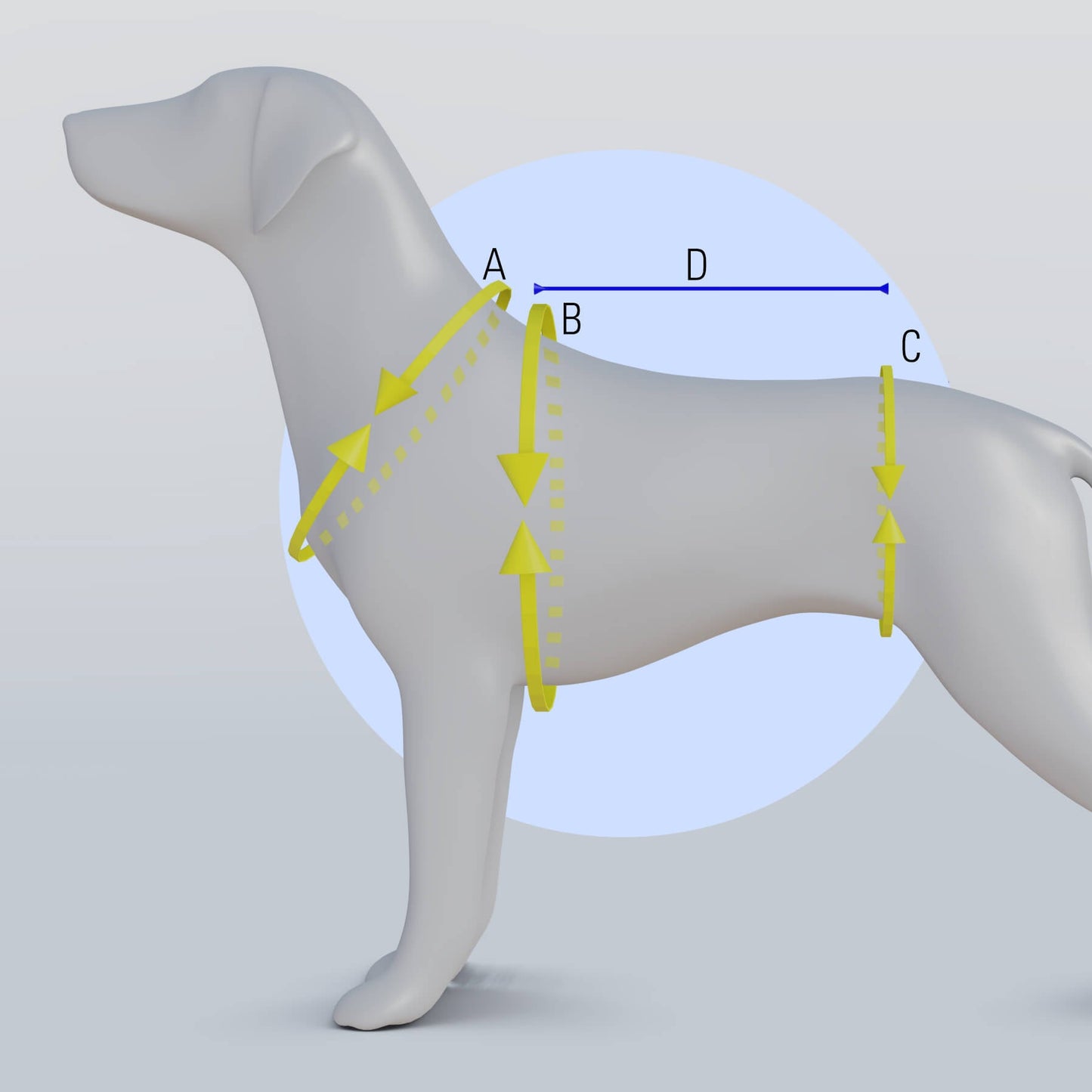 Hip Brace for Dogs