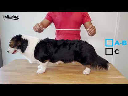 Back Brace for Dogs